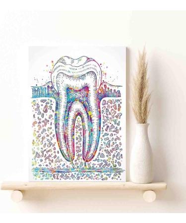 DAVUD Modern Bedroom Decor Molar Tooth Section Watercolor Print Teeth Medical Art Surgeon Dental Clinic Office Decor Gift Dentist Dentistry Canvas Wall Art- 12 in x16 in-Ready to hang - Buy Online on GoSupps.com