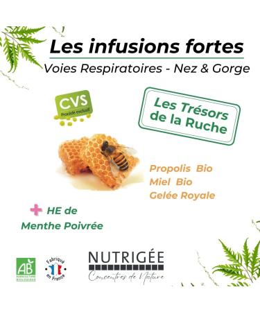 NUTRIG E - Organic Respiratory Infusion - Soothes - Respiratory Tract & Natural Defenses - Thyme Eucalyptus Pine Buds Ivy Echinacea - Rich in Soluble Plant Concentrates - 30 Sachets - Buy Online on GoSupps.com