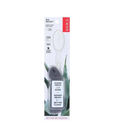 Radius Toothbrush Big Brush For Right Hand 6 Pack (Assorted)