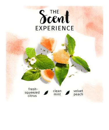 Herbal Essences Naked Volume White Grapefruit & Mosa Mint Shampoo and Conditioner Set 13.5 oz - Boost your hair's volume naturally! - Buy Online on GoSupps.com