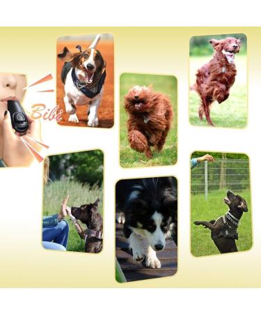 HGOCAHUZI Dog Training Clickers Dog Whistle Pet Clicker 2-in-1 Trainer Practical Pet Training Tools with Lanyard for Dogs Cats Birds Puppy Training - Buy Online on GoSupps.com