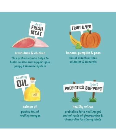 Edgard & Cooper Duck & Chicken with Banana Mango & Peas for Puppies - Buy Online on GoSupps.com