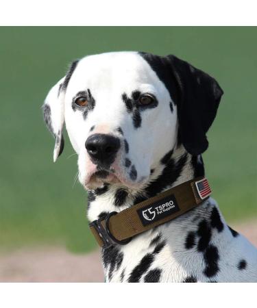 Tspro Premium Dog Collar - Adjustable Bright Patch Thick Collar with Metal Buckle for Small Medium & Large Dogs (Green Size L: 42.5cm-65cm) - Buy Online on GoSupps.com