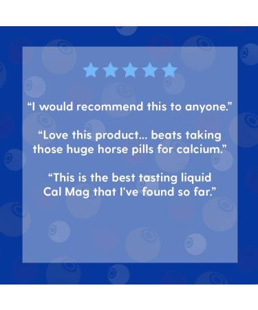 LifeTime High Potency Calcium Magnesium Citrate with Vitamin D3 - Blueberry Flavor, 16 fl oz - Buy Online on GoSupps.com