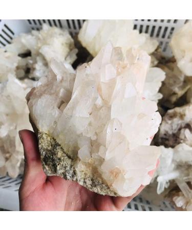 Natural Crystal Rough 1pc 300g-500g Natural Clear Smoky Quartz Cluster Bulk Crystal Cluster geode Crystal Specimen for Sale - Buy Online on GoSupps.com
