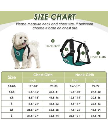 Slowton Dog Harness with Safety Belt for Cars - Breathable Latex Puppy Harness for Everyday Sports - XS Green - Buy Online on GoSupps.com