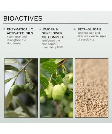 REN Clean Skincare Evercalm Overnight Recovery Balm - Skin Barrier Protection for Rosacea & Sensitive Skin - 1 Fl Oz - Buy Online on GoSupps.com