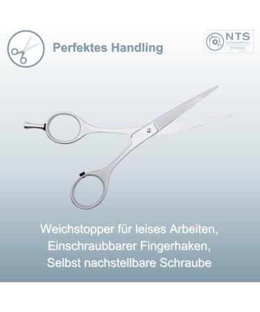 NTS-Solingen Silver Star Line 150 | Hairdressing Scissors | Matte | Satin | Made in Solingen | 5.5 Inches Approx. 14 cm | Professional Scissors for Hair Cutting - Buy Online on GoSupps.com