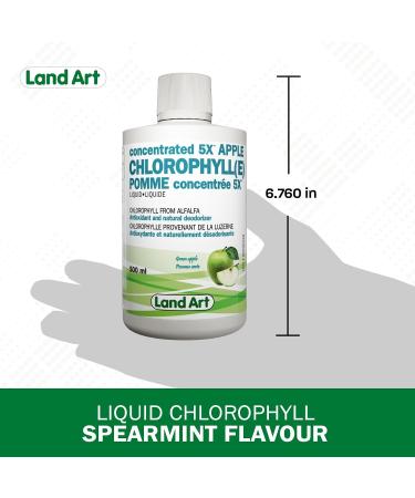 Liquid Chlorophyll Apple 5X Concentrated 500ml Cold Extracted from Non-GMO Alfalfa - Detox - Alkaline - Natural Body Deodorant Antioxidant - Made in Canada - Buy Online on GoSupps.com