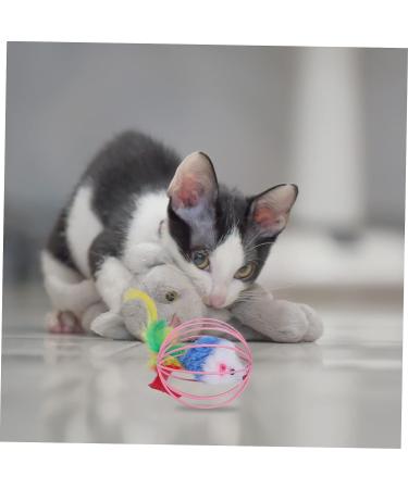 3pcs Cat Toy Themberchaud Plush Cat Mouse Toy Pet Toys Squeak Mouse Cat Toy Cage Mouse Ball Cage Mouse Toy Mouse Toy for Cat Plush Mouse Toy Cat Playing Balls Toy Cat Ball Pet Cat With Cages - Buy Online on GoSupps.com