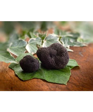 Black truffle salt Sea salt with truffles Truffle Flavoured Gourmet salt Black truffle condiment seasoning with truffle Sale con Tartufo 2 x 60g glass jars - Buy Online on GoSupps.com