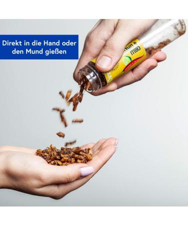 Sensable Insects Snack - Roasted Crunchy Protein Party Mix | Carolina Reaper Wasabi Chipotle | Unique Gift Idea | 4x20g - Buy Online on GoSupps.com