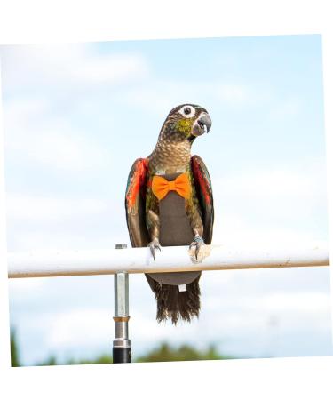 PopetPop 4-Pack Flying Bird Diapers | Parrot & Small Bird Flight Suit | Cotton Urine Pads for Conures & Ducks - 20x11cm - Buy Online on GoSupps.com