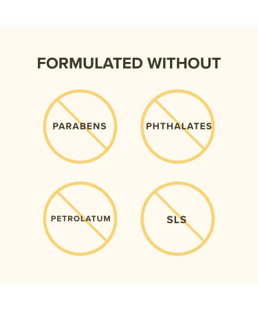 Burt's Bees Lip Balm & Lip Treatment Set - Overnight Intensive Care & Conditioning Scrub - 0.50 oz (Pack of 1) - Buy Online on GoSupps.com