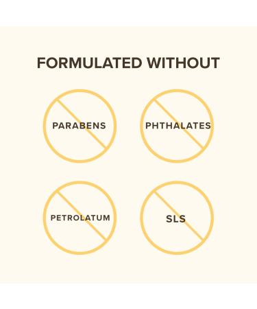 Burt's Bees 100% Natural Strawberry Lip Balm - Moisturizing Beeswax & Fruit Extracts | International Shipping - Buy Online on GoSupps.com