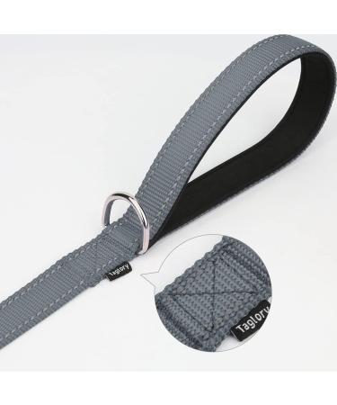 Taglory Reflective Dog Leash for Medium & Large Dogs | Padded Handle | Supports 10-75 kg | 1.2m x 2.5cm | Lightweight & Durable Gray | Ideal for International Shipping - Buy Online on GoSupps.com