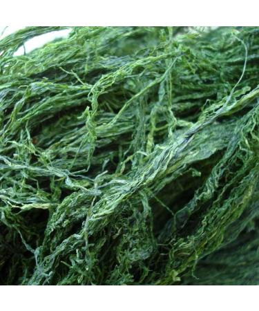 Dried Green Algae 80G - Buy Online on GoSupps.com