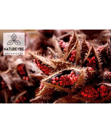 Naturevibe Botanicals Organic Annatto Seeds 10 Ounces - Achiote Whole Seeds for Cooking and Baking - Buy Online on GoSupps.com