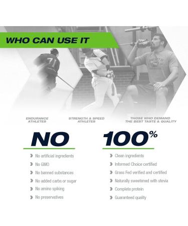 PVL ISO Sport Whey Clean Gold Standard 100% Whey Protein Isolate Powder Protein Shake 908 g Creamy Vanilla - Buy Online on GoSupps.com