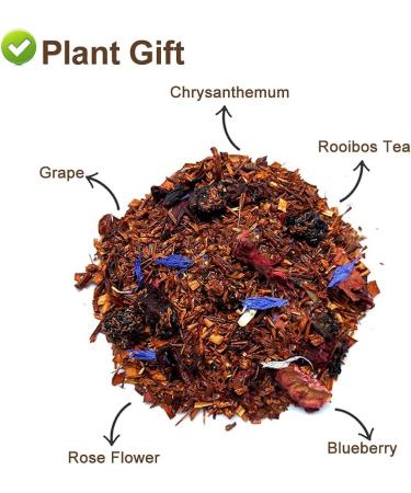 Plant Gift Blueberries Rooibos Tea mango flavor loose leaf rooibos tea grapes rose flower blueberries and chrysanthemum no caffeine hot and iced tea nonGMO herbal tea 70 g25oz - Buy Online on GoSupps.com