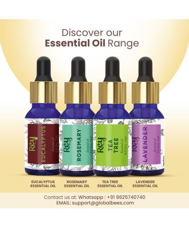 Premium Cold Pressed Castor Oil for Skin Care & Hair Growth - Pure Virgin Grade 200ml - Buy Online on GoSupps.com