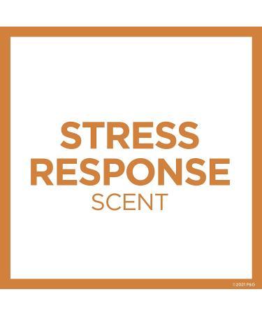 Secret Clinical Strength Antiperspirant & Deodorant for Women - Stress Response, Soft Solid, Pack of 3 (1.6 oz) - Buy Online on GoSupps.com