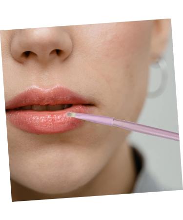 NOLITOY Lip Brush 5 Pcs Horsehair Eyeshadow Brush Eye Blending Brush Setting Powder Brush Eye Smudger Brush Eyeshadow - Buy Online on GoSupps.com