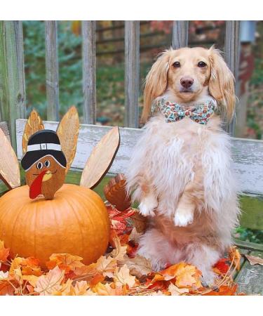 Unique Style Paws Adjustable Cotton Dog Collar with Fly - Comfortable & Stylish Pet Accessory for Girls - Perfect for Turkey Party - Size L (Neck 40.6-61 cm) - Buy Online on GoSupps.com