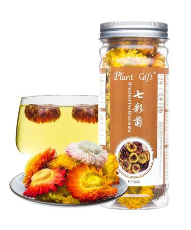 Plant poison bractaTha bracteata flower bracteantha bractata flower colorful chrysantheme tea liver seeing skin care beauty anti-fatigue lose weight 30g / 1.05z slimming 30g-bractaTha bracteata flower - Buy Online on GoSupps.com
