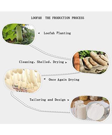 Large Exfoliating Shower Loofah Sponge for Ultimate Skin Cleansing - 2 Pack for Men and Women - Buy Online on GoSupps.com