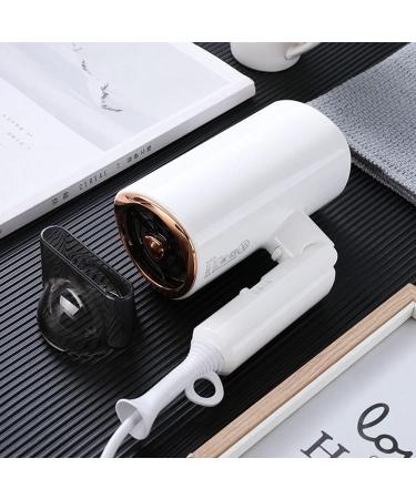 Professional Hair Dryer 1800W Travel Hair Dryer Negative ION Hairdryer Constant Temperature Hair Care 2 Speed and 3 Kinds of Temperature for a Frizz Free Shine Nozzles with Low Noise for Family Salon - Buy Online on GoSupps.com