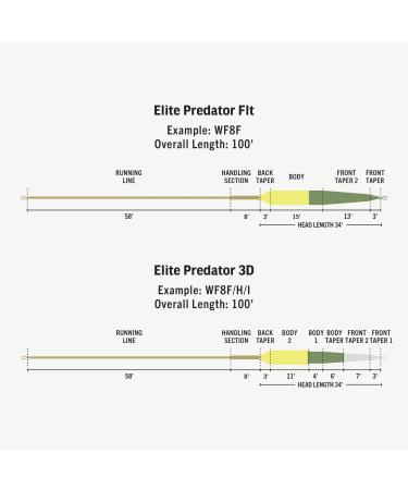 Rio Elite Predator Fly Line - 100ft WF10F/I/S3 for Large Flies | Low Stretch & Ultra-Slick Performance - Buy Online on GoSupps.com