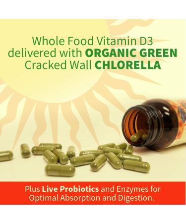 Garden of Life Organics Turmeric Inflammatory Response Gummy - 120 Real Fruit Gummies & Vitamin D Vitamin Code Raw D3 Vitamin D 5 000 IU Raw Whole Food Vitamin D Supplement - Buy Online on GoSupps.com