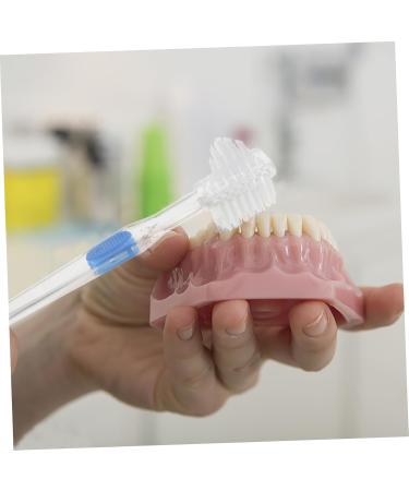 Buy Gleavi 15 StK Prosthesis Cleaning Brush - Double-Sided Toothbrush for False Teeth Care Tools | International Shipping Available - Buy Online on GoSupps.com