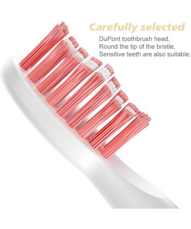 Buy Sonic Electric Toothbrush USB Fast Charging for Adults - GL42 Pink | Best International Shipping - Buy Online on GoSupps.com