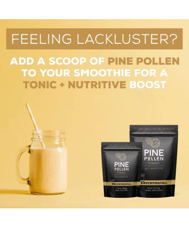 Surthrival Wild Harvested Pine Pollen Powder (48g) - Natural Energy & Endurance Restoration - Buy Online on GoSupps.com