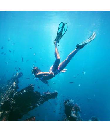 ZEEPORTE Adult Snorkeling Gear Set - Panoramic View Diving Mask, Trek Fin, Dry Top Snorkel - Blue SM - Buy Online on GoSupps.com