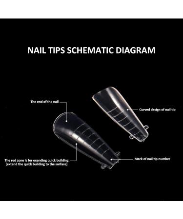 BNG 120-Piece Dual Shapes Nail Tips Set | Ballerina & Flat Square Professional Nail Extensions | Clear Polymer Gel Complete Cover - Buy Online on GoSupps.com