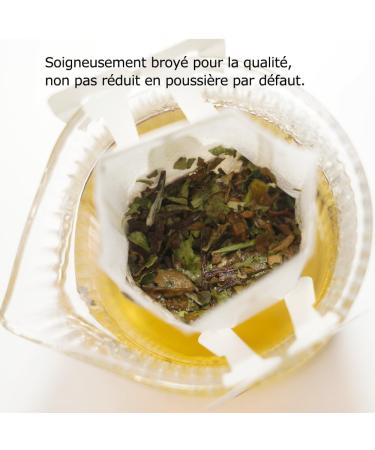 QINGERTING Premium High Mountain White Tea - Hook Tea Bags (Corn Fiber) Eco-Friendly - Reusable Multi-Infusion - 7 Bags per Box for Office and Home - Buy Online on GoSupps.com