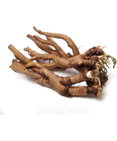 RAW HERBS/JADI BOOTI DRIED DANDELION ROOTS SINGHPARNI JADD TARAXACUM OFFICINALE (100GM) - Buy Online on GoSupps.com