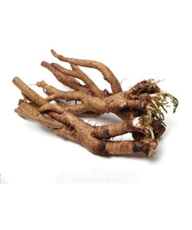 RAW HERBS/JADI BOOTI DRIED DANDELION ROOTS SINGHPARNI JADD TARAXACUM OFFICINALE (100GM)