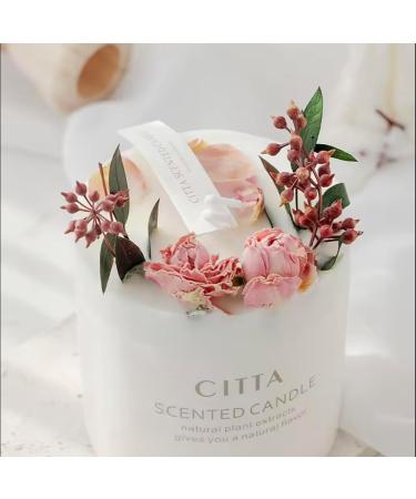 Long-Lasting Fragrance Candles | Premium Scented Candles with Essential Oils | Elegant Home Decor Gift & Meditation Aromatherapy - Buy Online on GoSupps.com