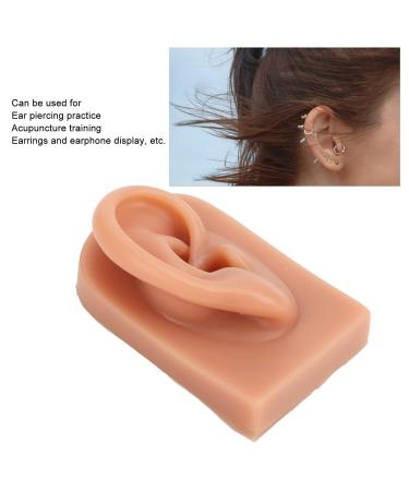 Display Ear Model for Pierced Ears - Dark Skin Tone Reusable & Wearable | International Shipping - Buy Online on GoSupps.com