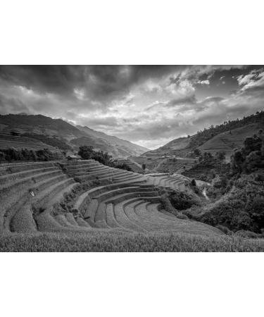 Lais Puzzle Terraced Rice Field - M C ng Ch i District Yen Bai Province Vietnam in black and white 500 pieces - Buy Online on GoSupps.com