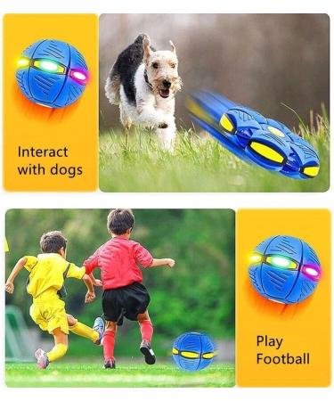 Yeahboom UFO Magical Flying Saucer Ball | Frisbee Dog Toy for Outdoor Fun | Violet Dog Frisbees | International Shipping Available - Buy Online on GoSupps.com