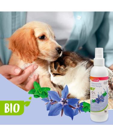 Beaphar Bio Combing Aid Spray for Dogs & Cats - 200ml Demelanter for Matted Fur Relief - Buy Online on GoSupps.com