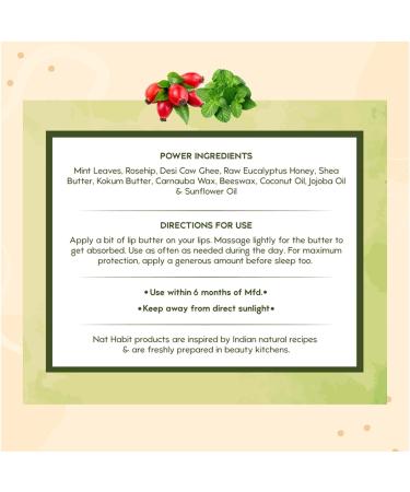 Mint Rosehip Lip Balm - Fresh Infused Lip Butter with Desi Ghee & Raw Honey for Lip Pigmentation Repair & Dark Chapped Lips - 10g | Buy Online - Buy Online on GoSupps.com