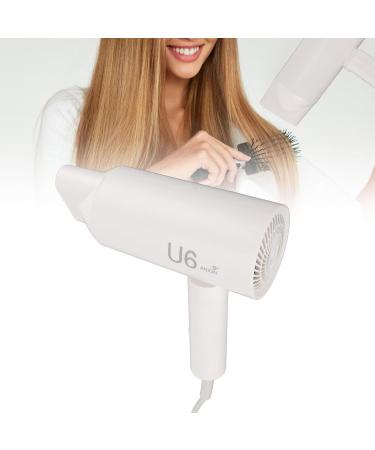 Ionic Hair Dryer Blow Dryer 1800W Compact and Folding 2 Gears Portable Hair Dryer for Home Travel (US Plug 110V) - Buy Online on GoSupps.com