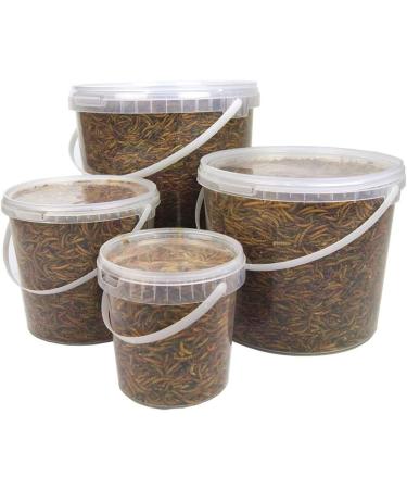 GardenersDream Dried Mealworms for Wild Birds - 5L (2.5 kg) | Premium Garden Bird Food - Buy Online on GoSupps.com