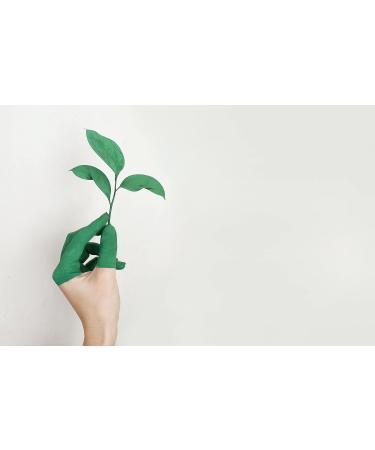 Red bush tea mix rum balls in snow flavored 1kg - Buy Online on GoSupps.com